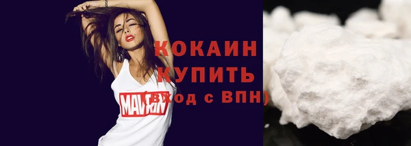 альфа пвп Бородино