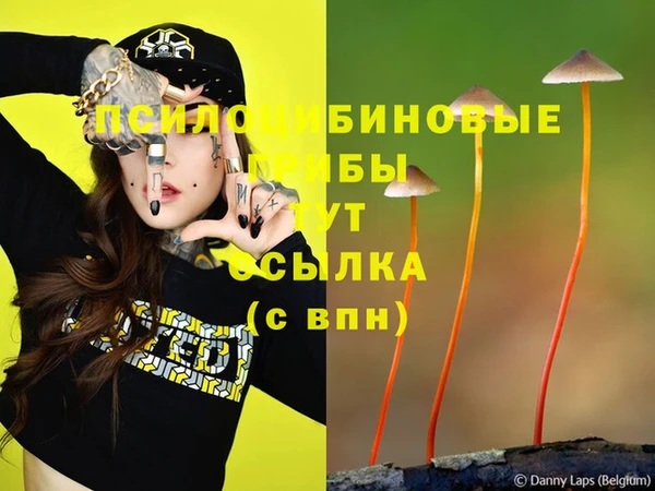 прущий лед Бугульма