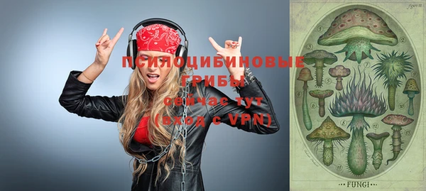 альфа пвп Бородино